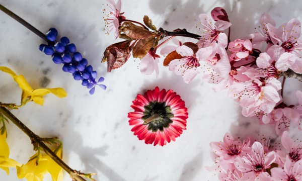 Flower arranging afternoon