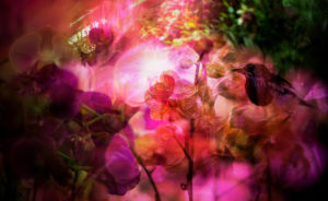 Hakkasan's vibrant brand image